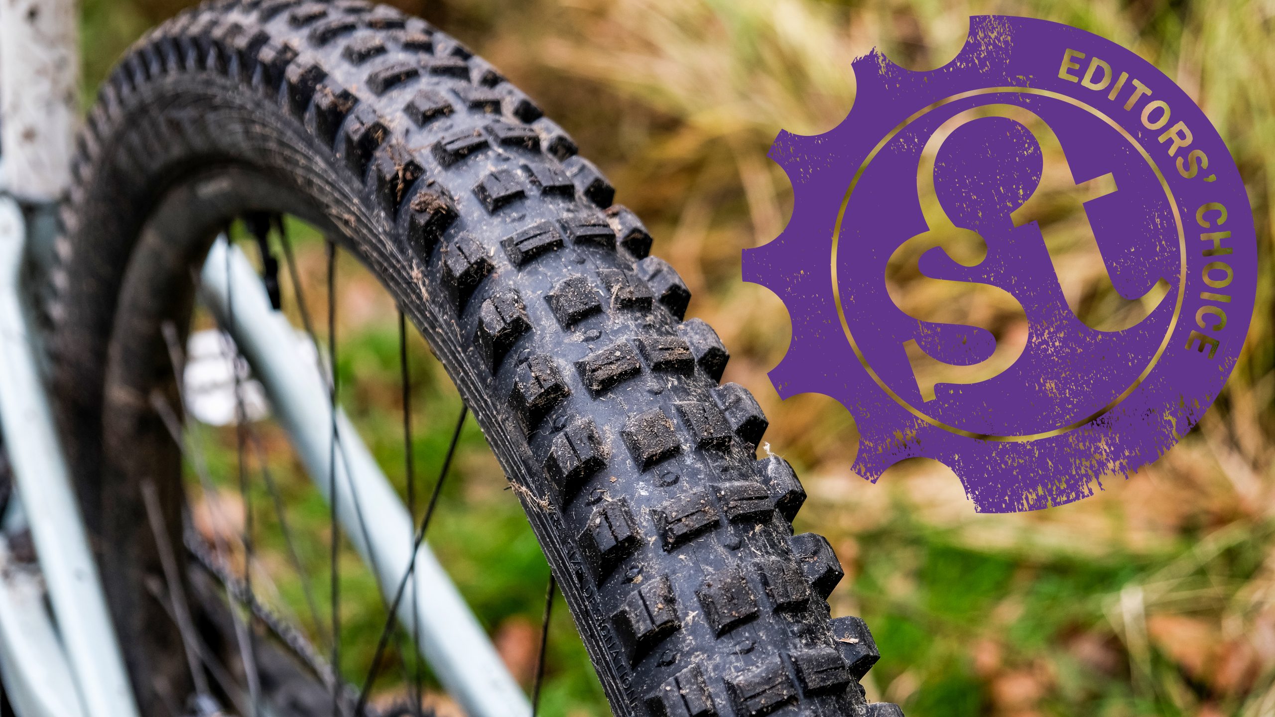 Editors’ Choice 2024: WTB Judge & Verdict tyres