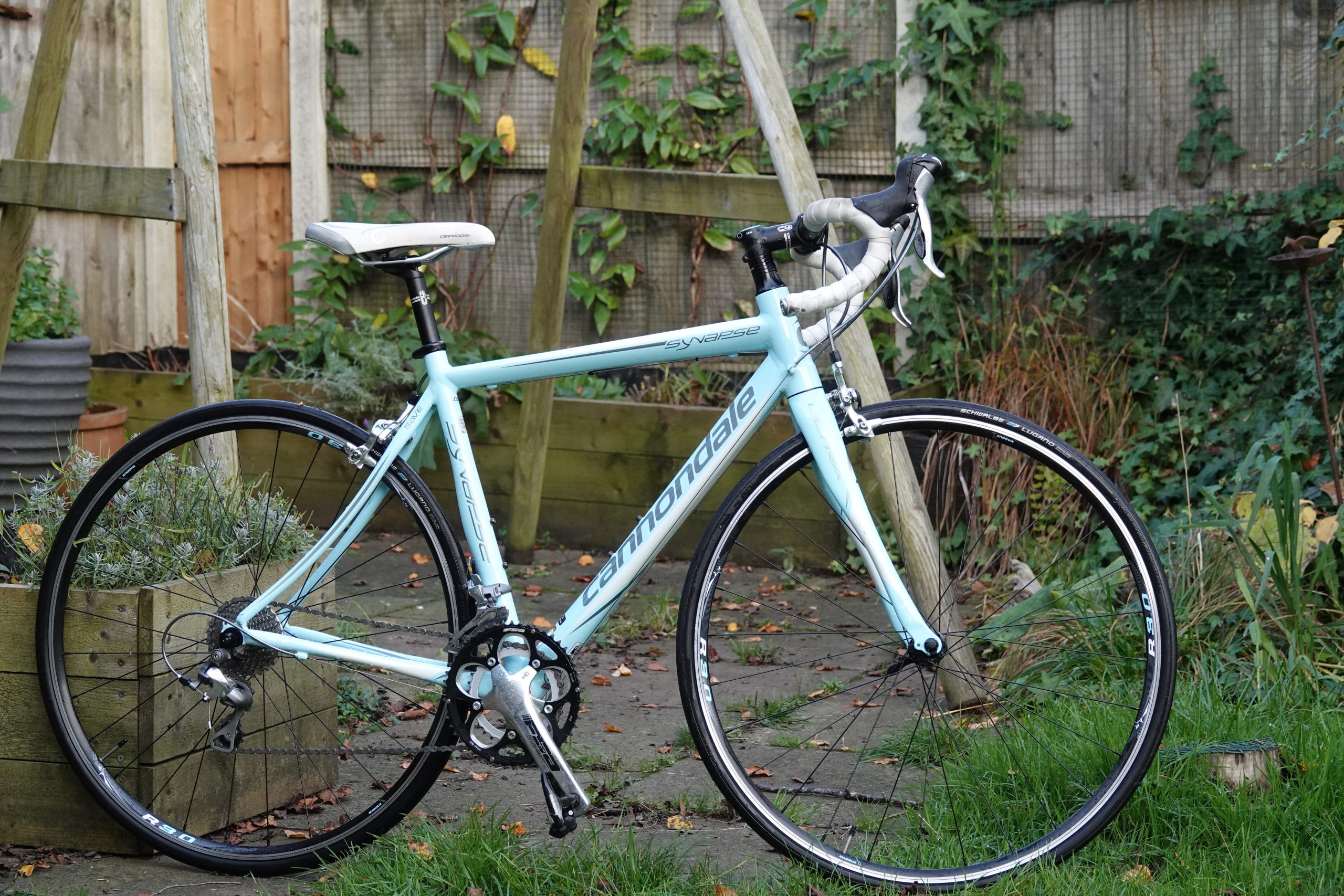 Ladies Cannondale Synapse