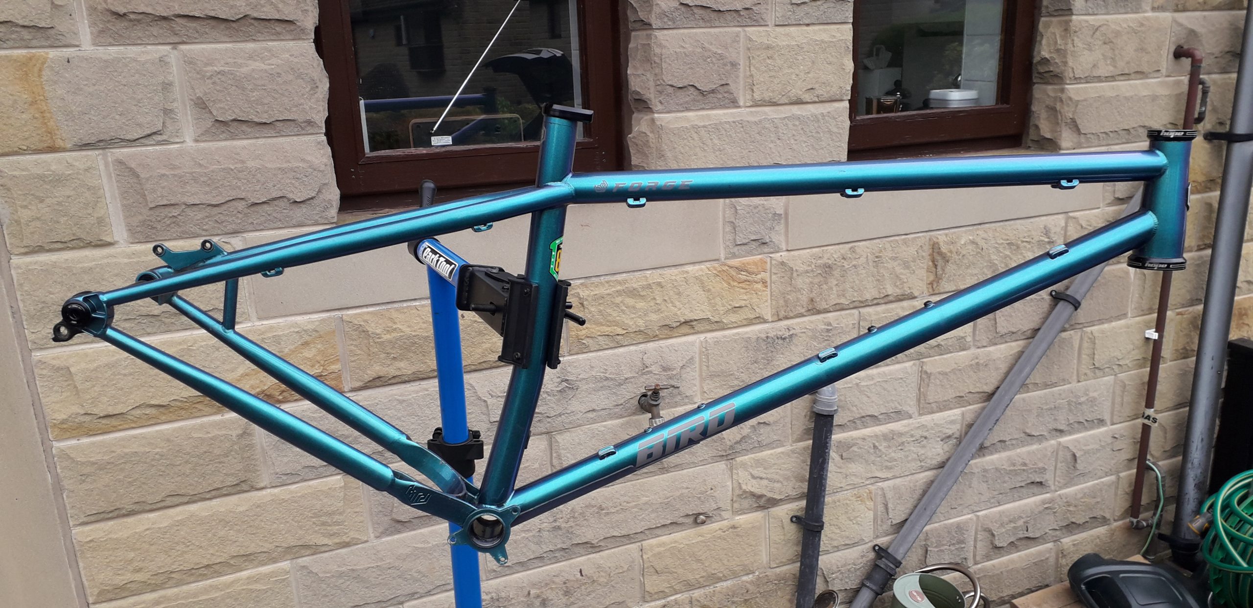 Bird Forge frame size L – Tuscan Blue
