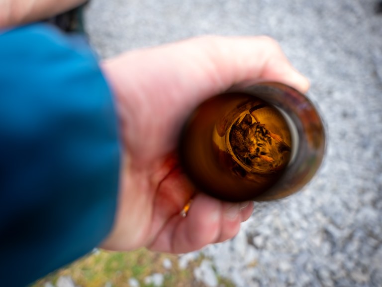 Trash Free Trails Report Highlights Impact On Wildlife