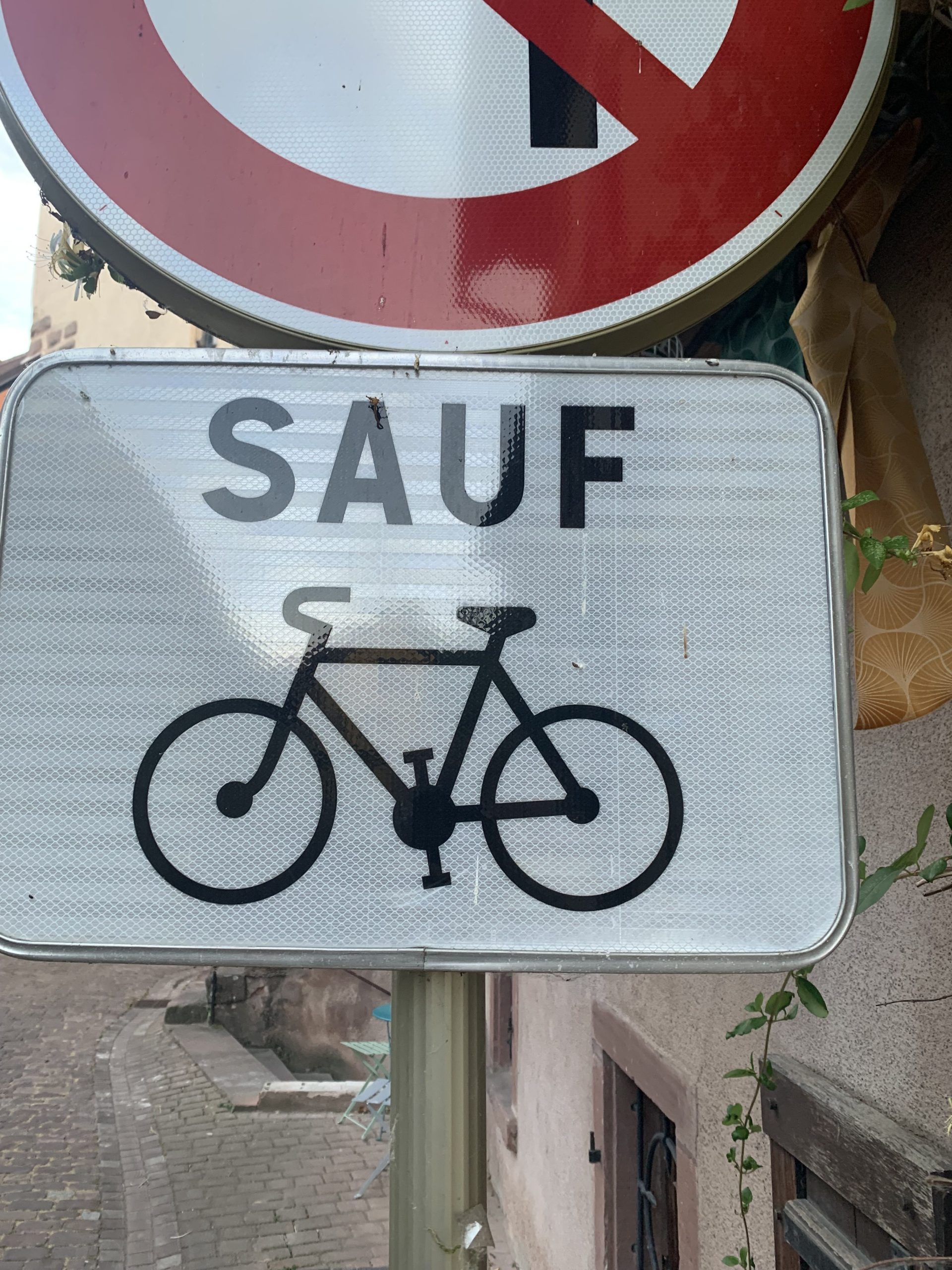 WANTED 29” plus rim or wheel