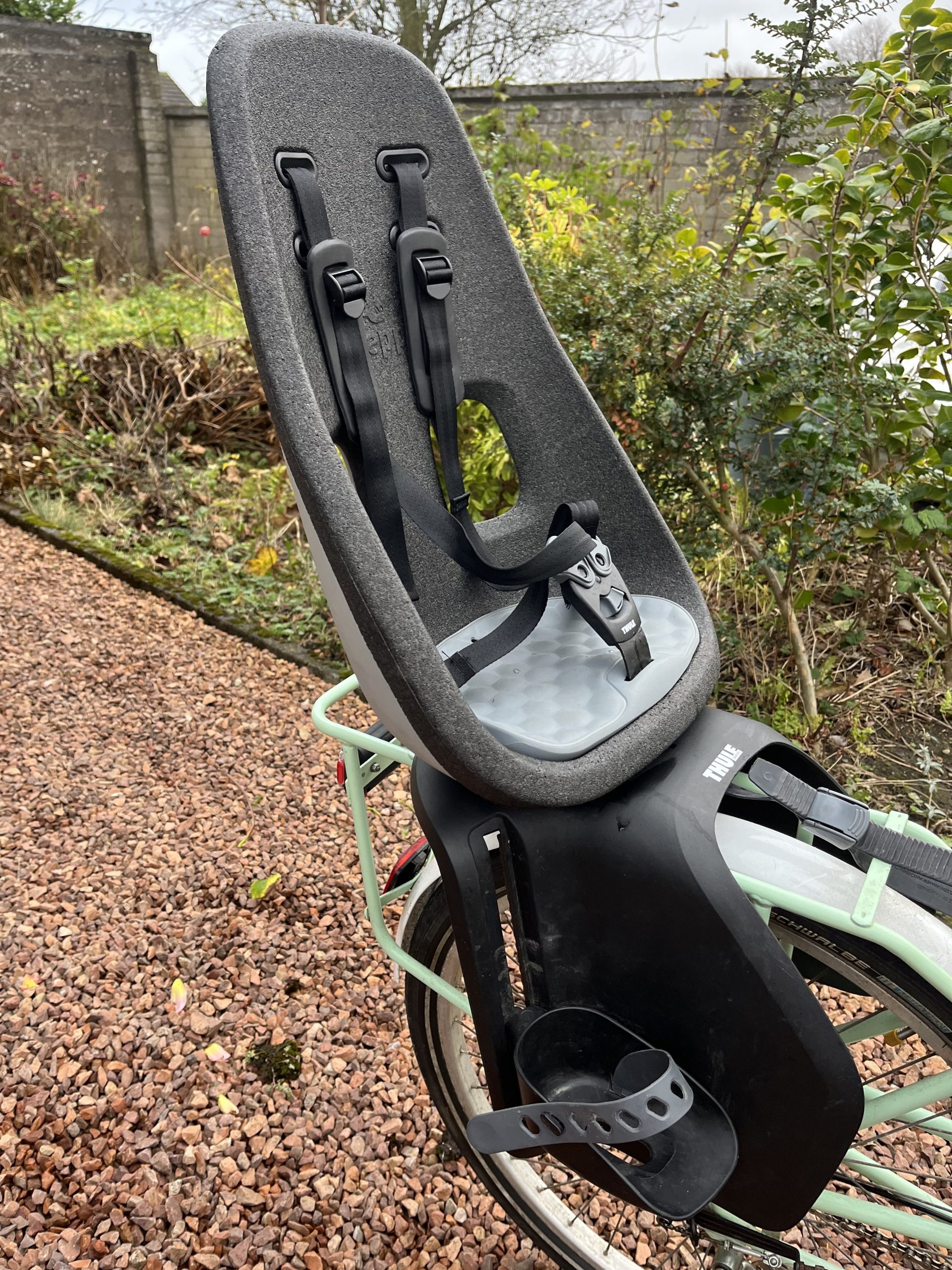 Thule Yepp Maxi Rack Mounted Child Seat