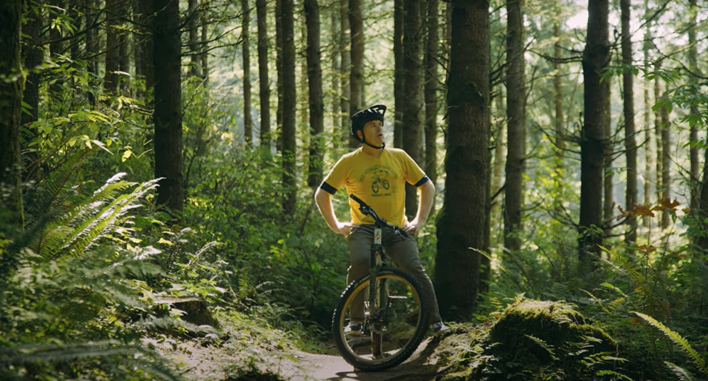 Good Vibes Only: Taj In The Woods