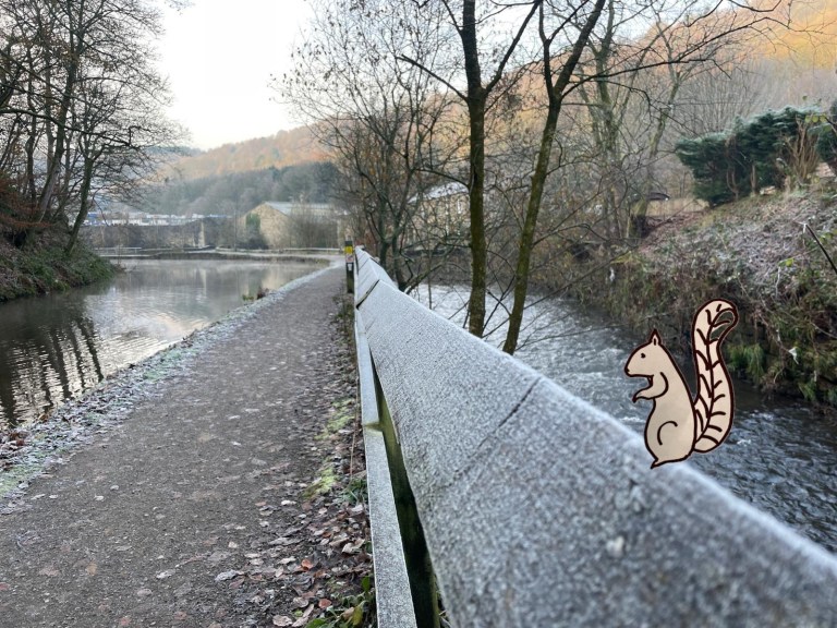 Good Vibes Only: Drafting A Squirrel