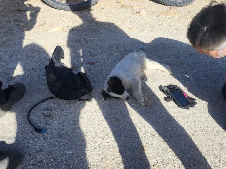 wanted megatower cascade link