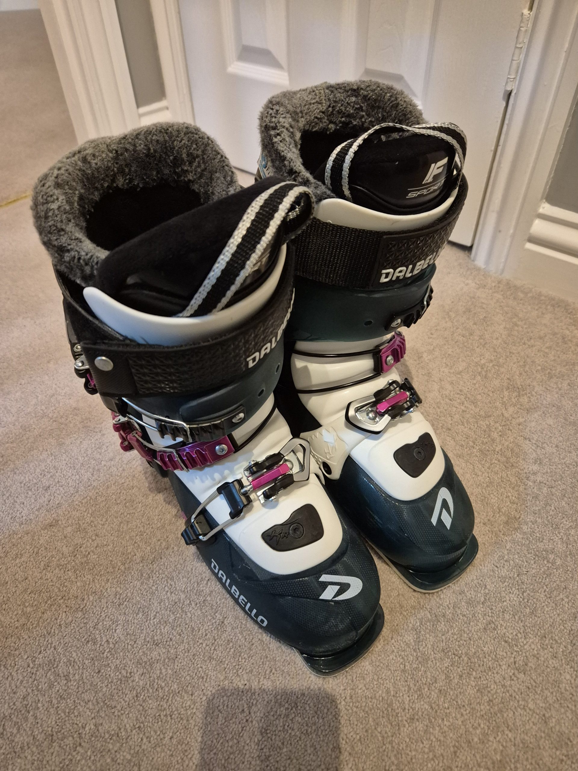 Dalbello & Salomon Ski Boots