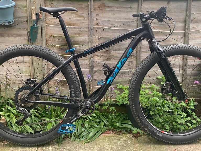 Salsa beargrease 29×3.0 bikepacker