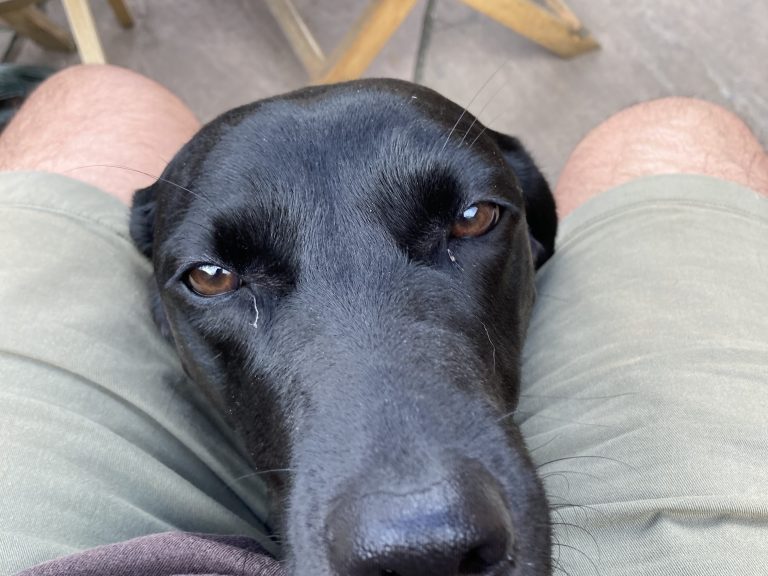 Wanted Thule feet & fitting kit / Audi q3 roofbars