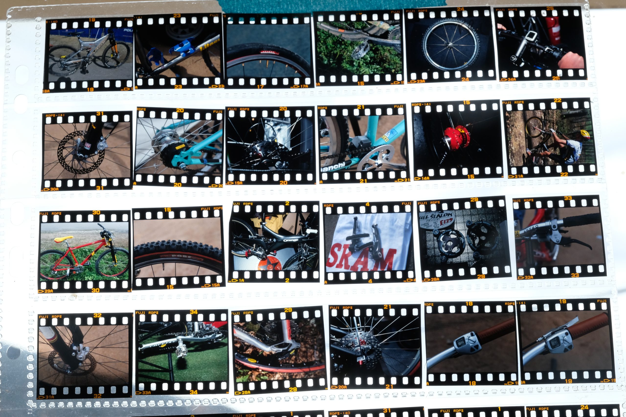 Issue 160: Editorial – Delicate Custodians