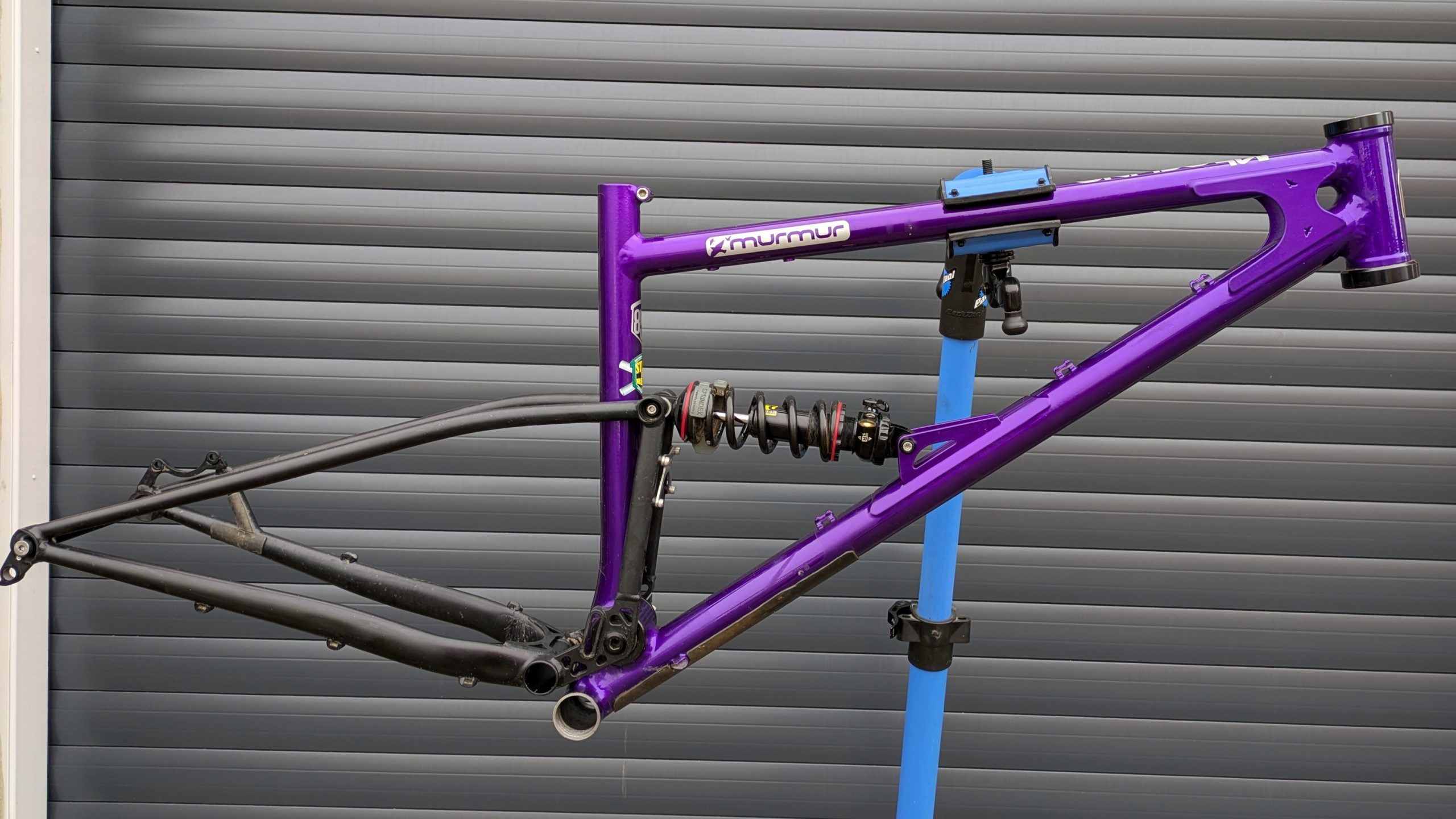 Starling Murmur Frame – Large