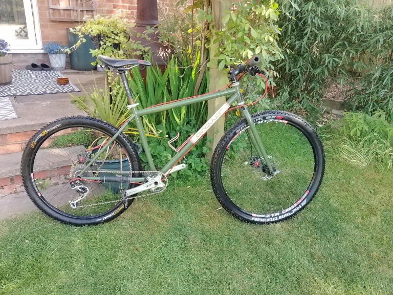 Singular hummingbird