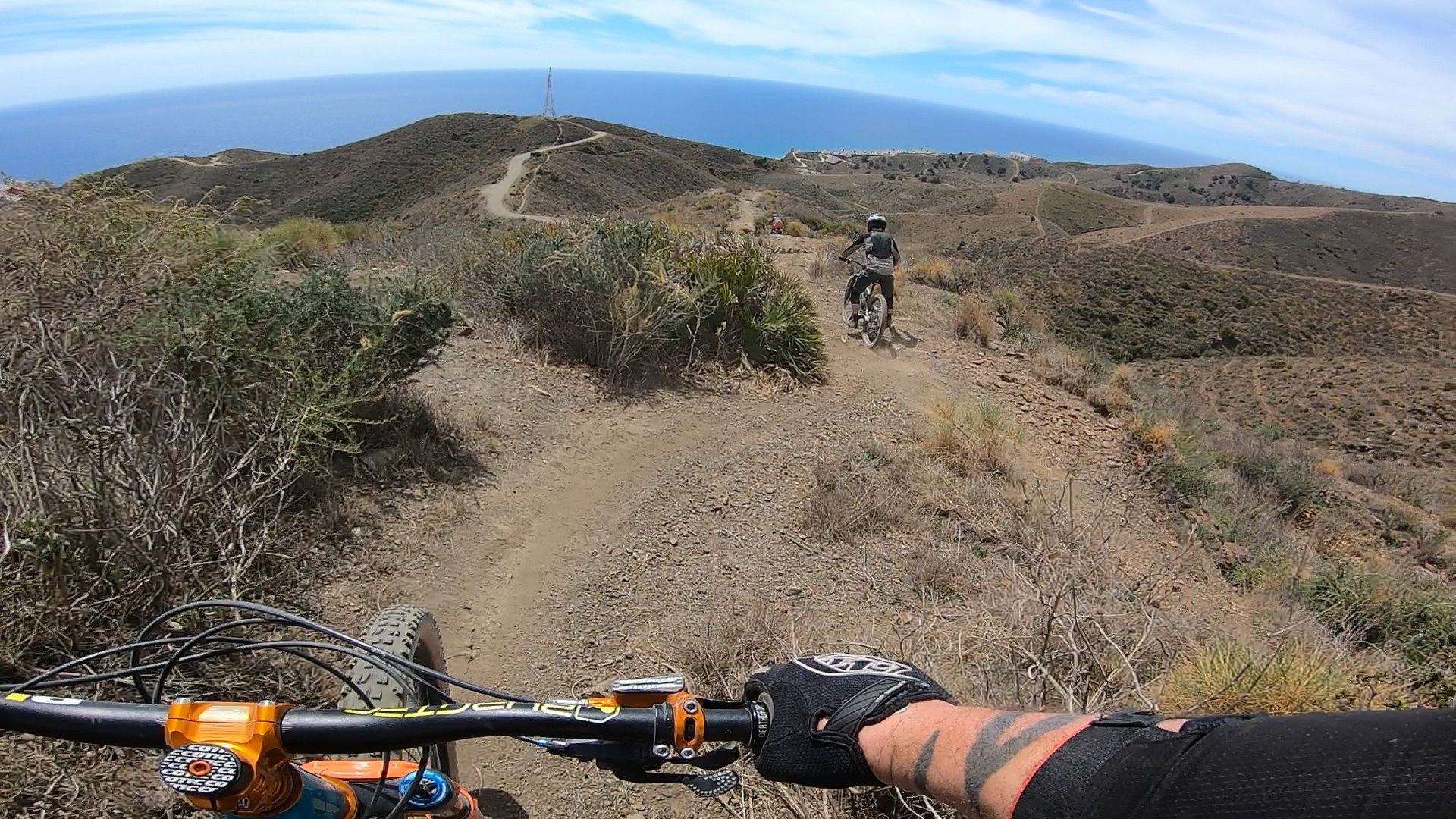 wanted push acs3 spring black or green