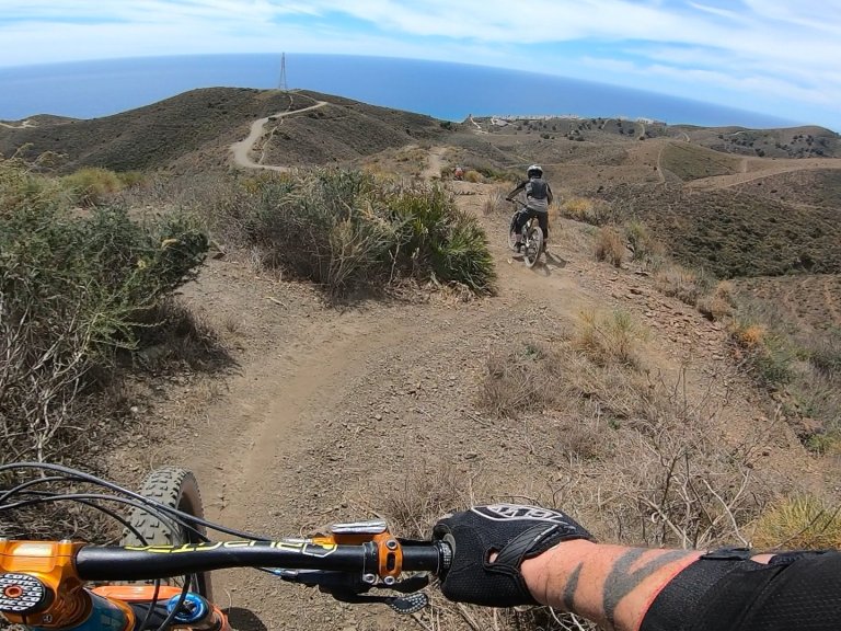 wanted push acs3 spring black or green