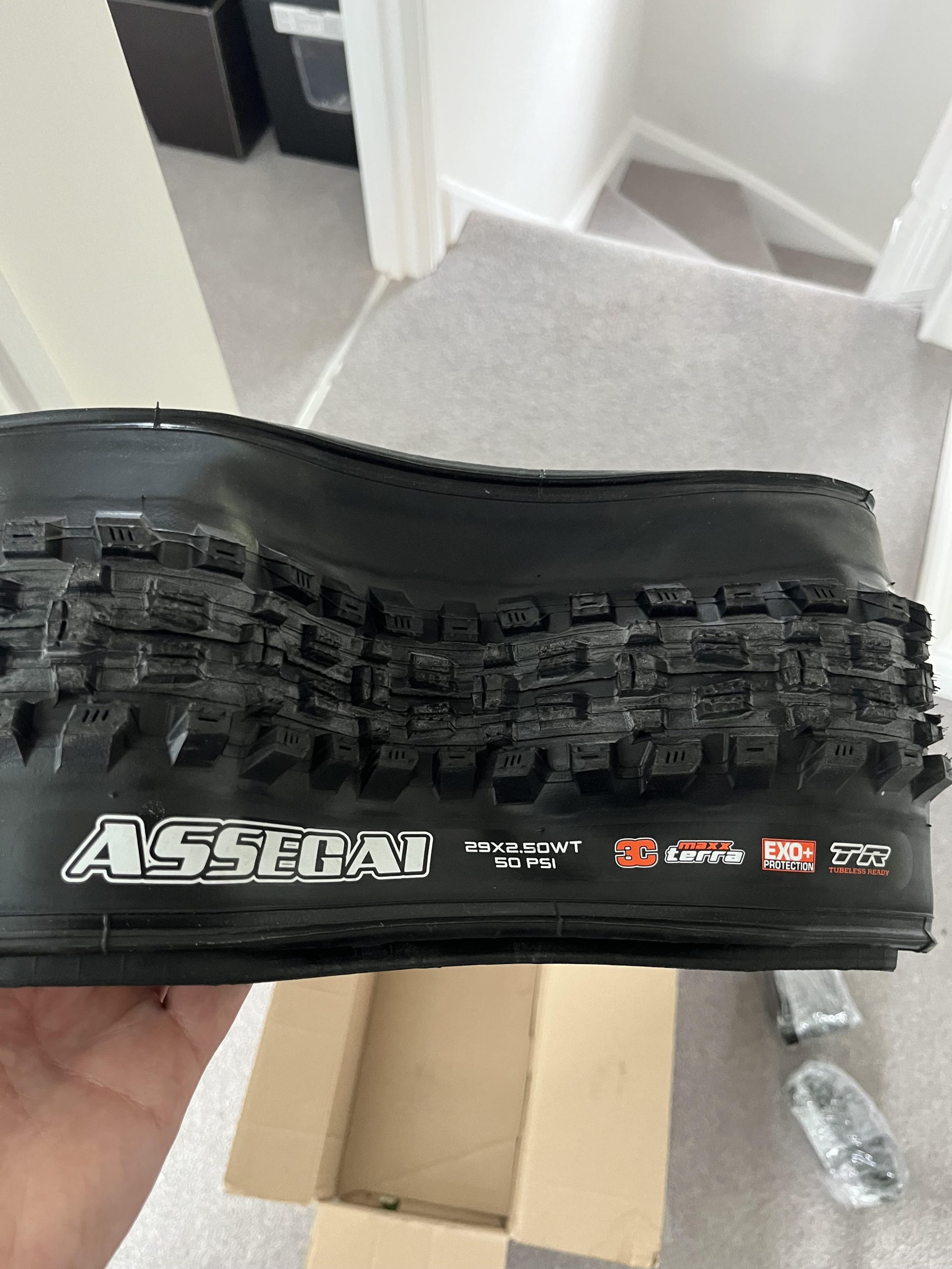 Maxxis Assegai Exo+ Maxx Terra 29 x 2.5 WT tyre – brand new