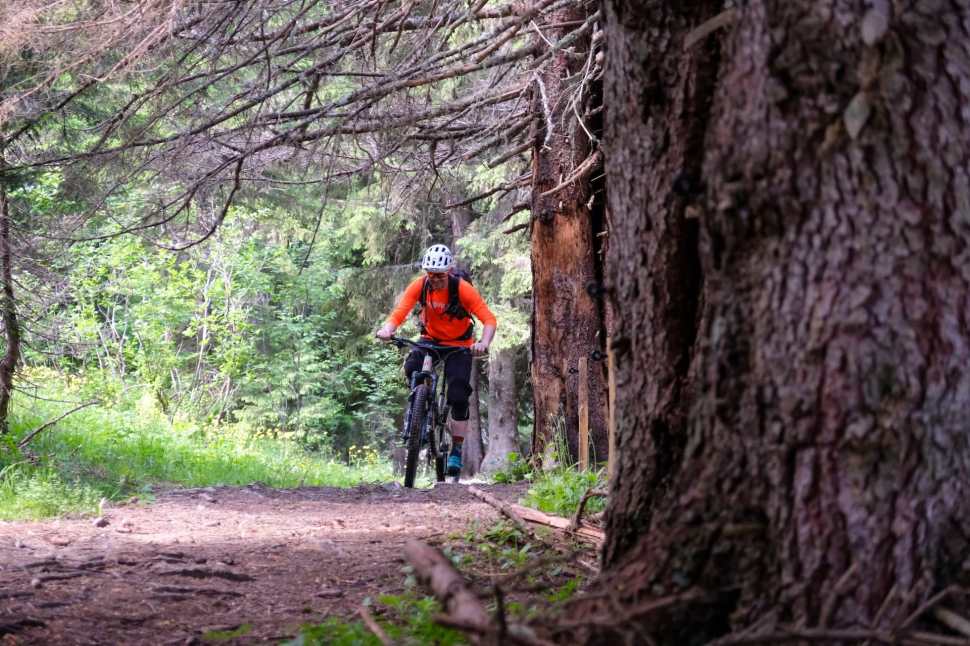 A mountain biker dressed in an orange shirt and helmet rides through a dense, green forest trail surrounded by trees.