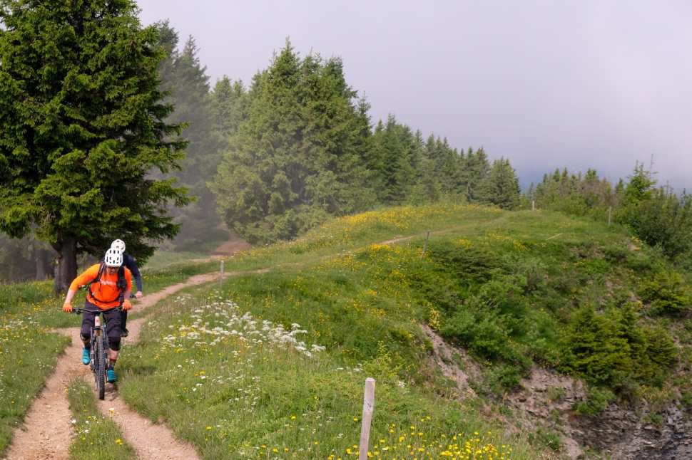 A mountain biker riding on a dirt trail surrounded by lush greenery and trees, with a hazy background.