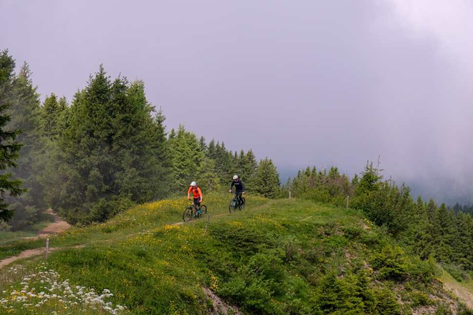 Two mountain bikers riding on a grassy trail surrounded by trees in Morzine, France, with fog and clouds in the background.