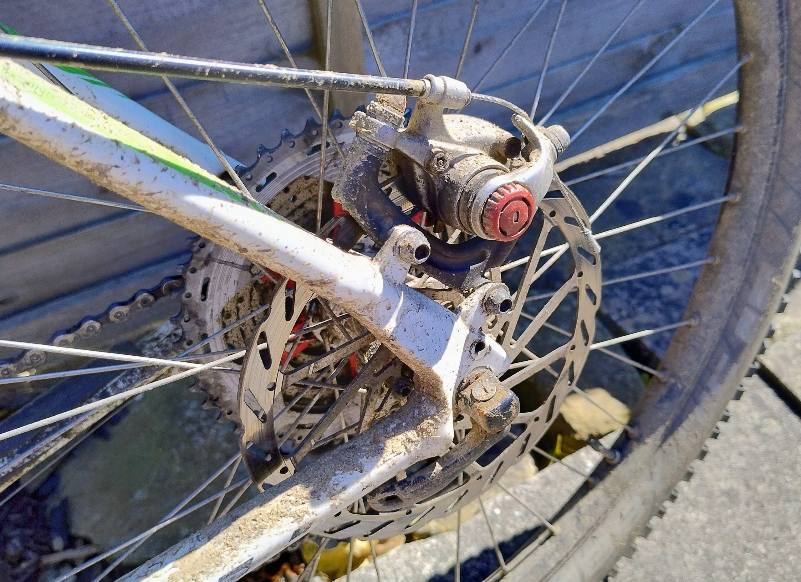 WTD: 650b QR135 rear wheel, HG freehub