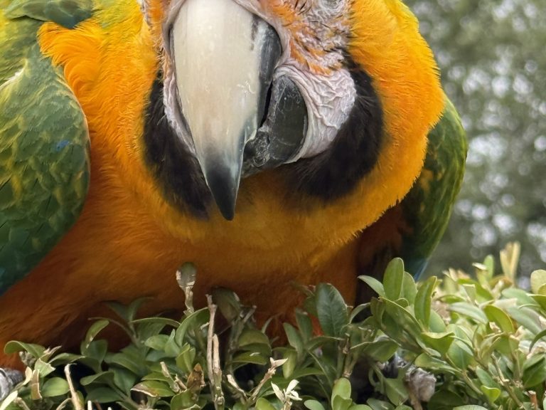 WTD: 27.5 or mullet wheelset (prefer boost)…and gears too