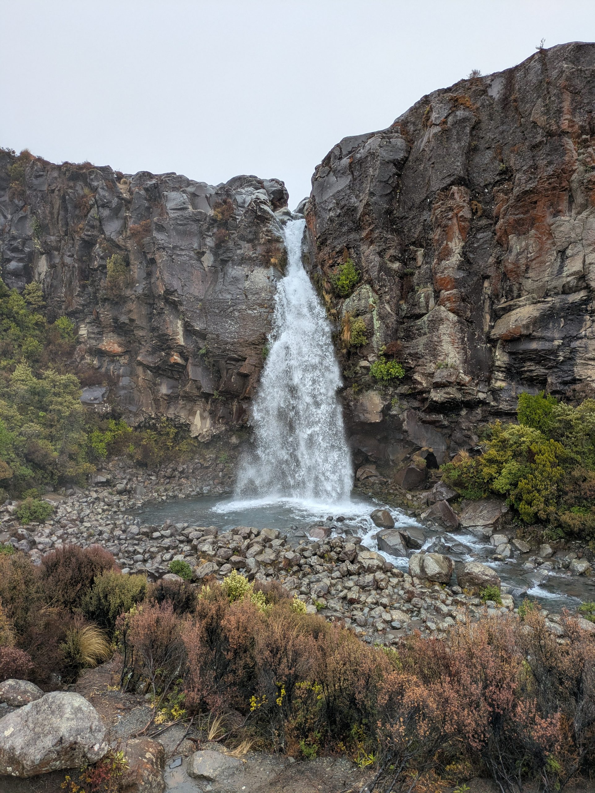 Pace 529 Large. Frame or complete