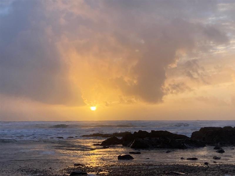 WTD: Cheap options to join the world of zwift