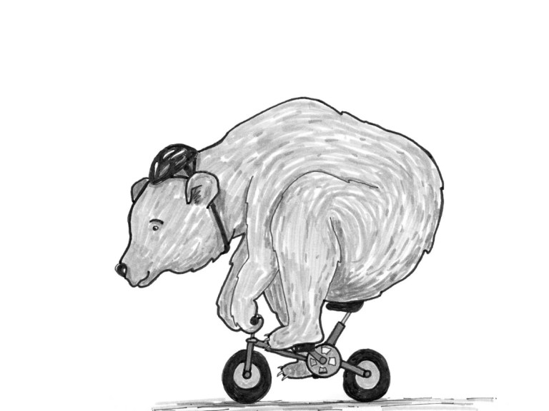 Wtd: small gravel bike