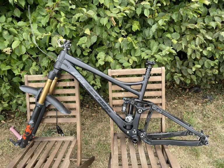 V3 Banshee Rune Fox 36 and Reverb