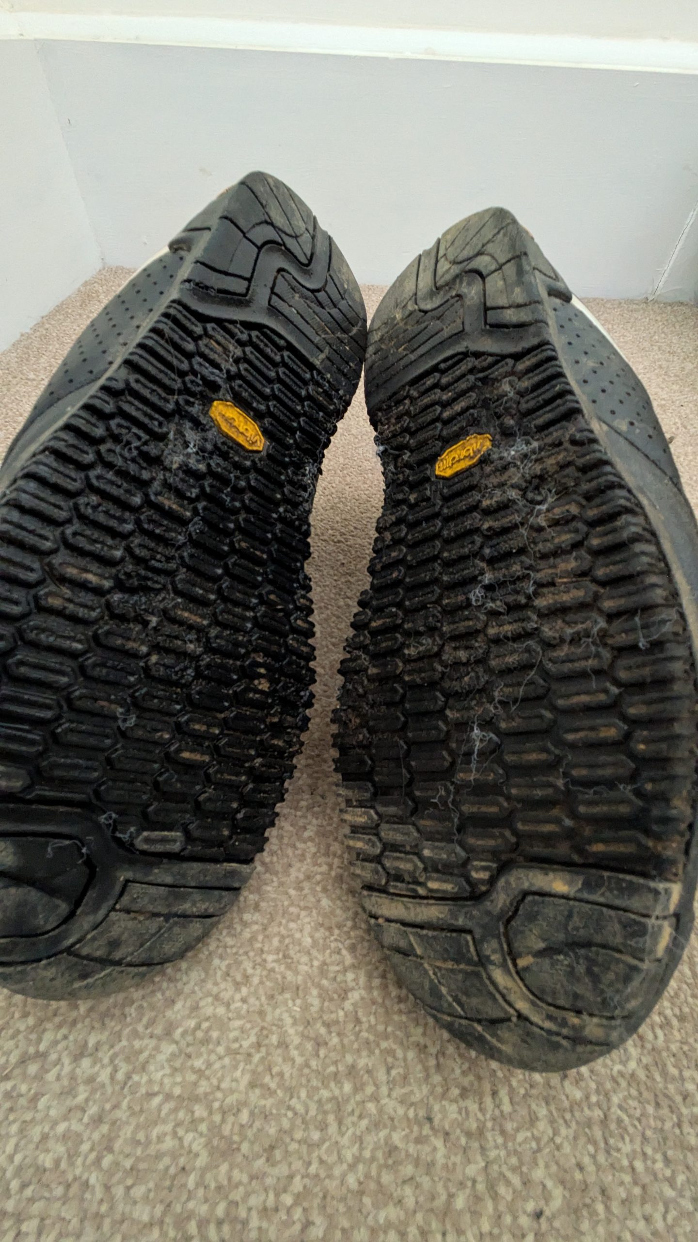 Shimano AM41 flat pedal shoes (45)