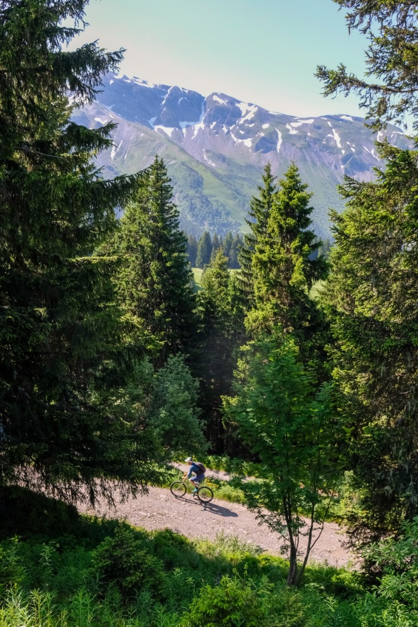 A cyclist riding a gravel bike on a trail surrounded by lush green trees and mountains in the background.