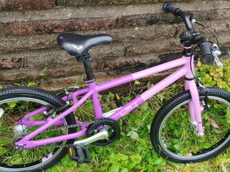 2023 Pink Purple Wild 18 Kids bike