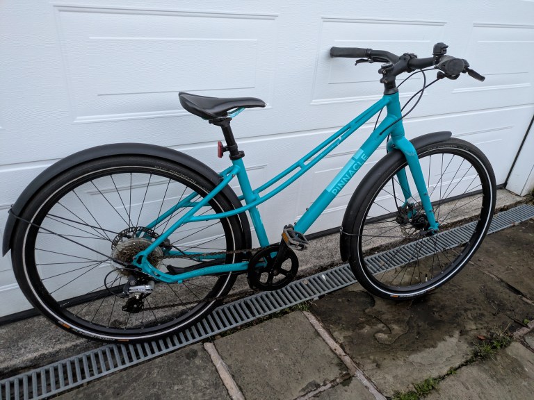 Pinnacle Chromium 1 Mixte hybrid