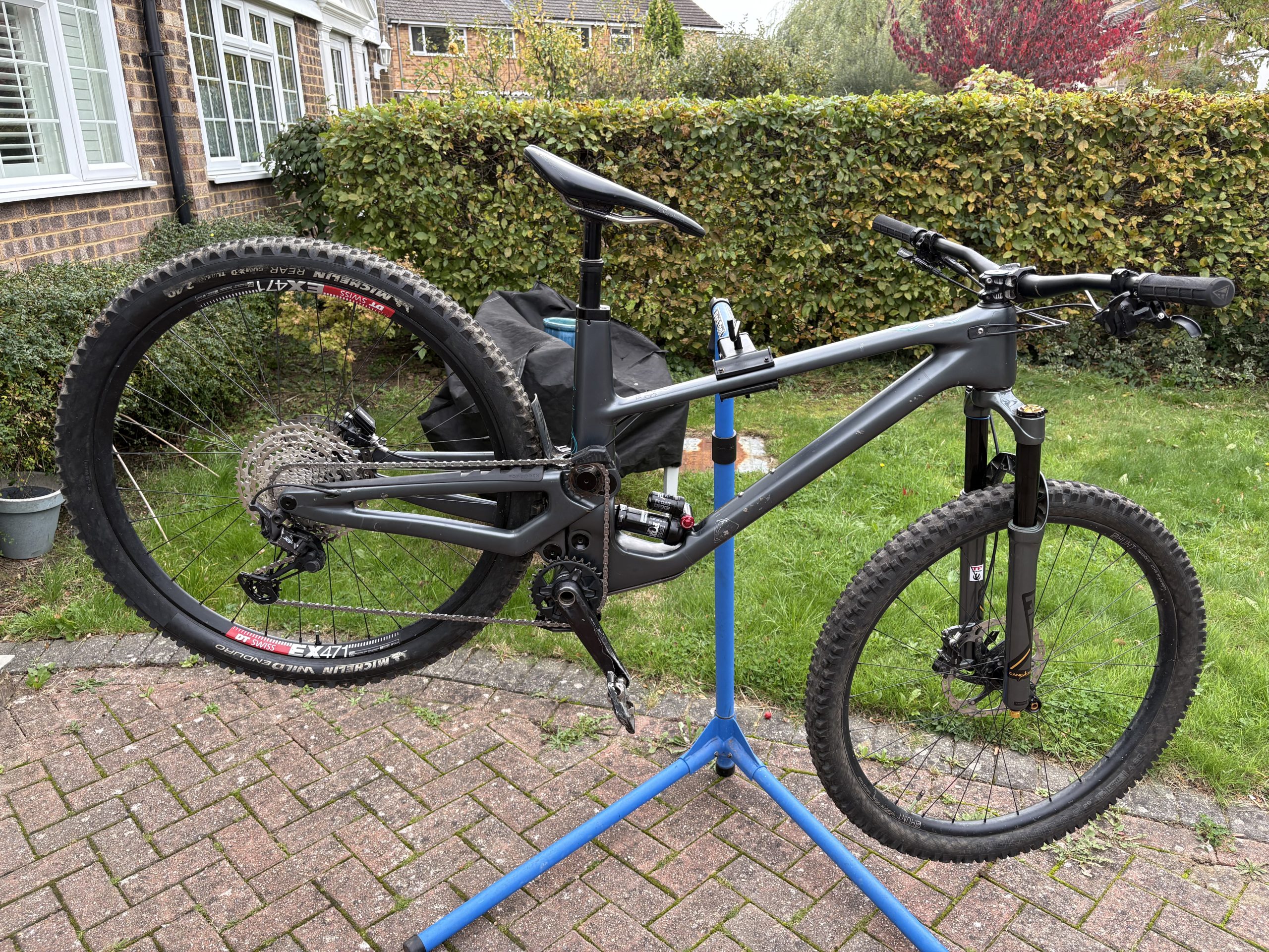 Forbidden Druid V1 Large ‘Blue Steel’