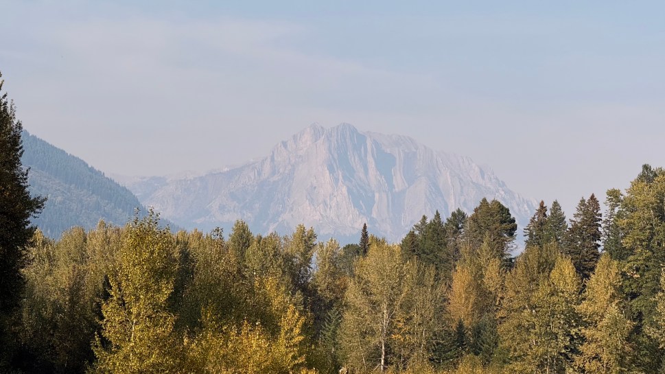 A scenic view of a mountain surrounded by colorful autumn foliage in Fernie, Canada.