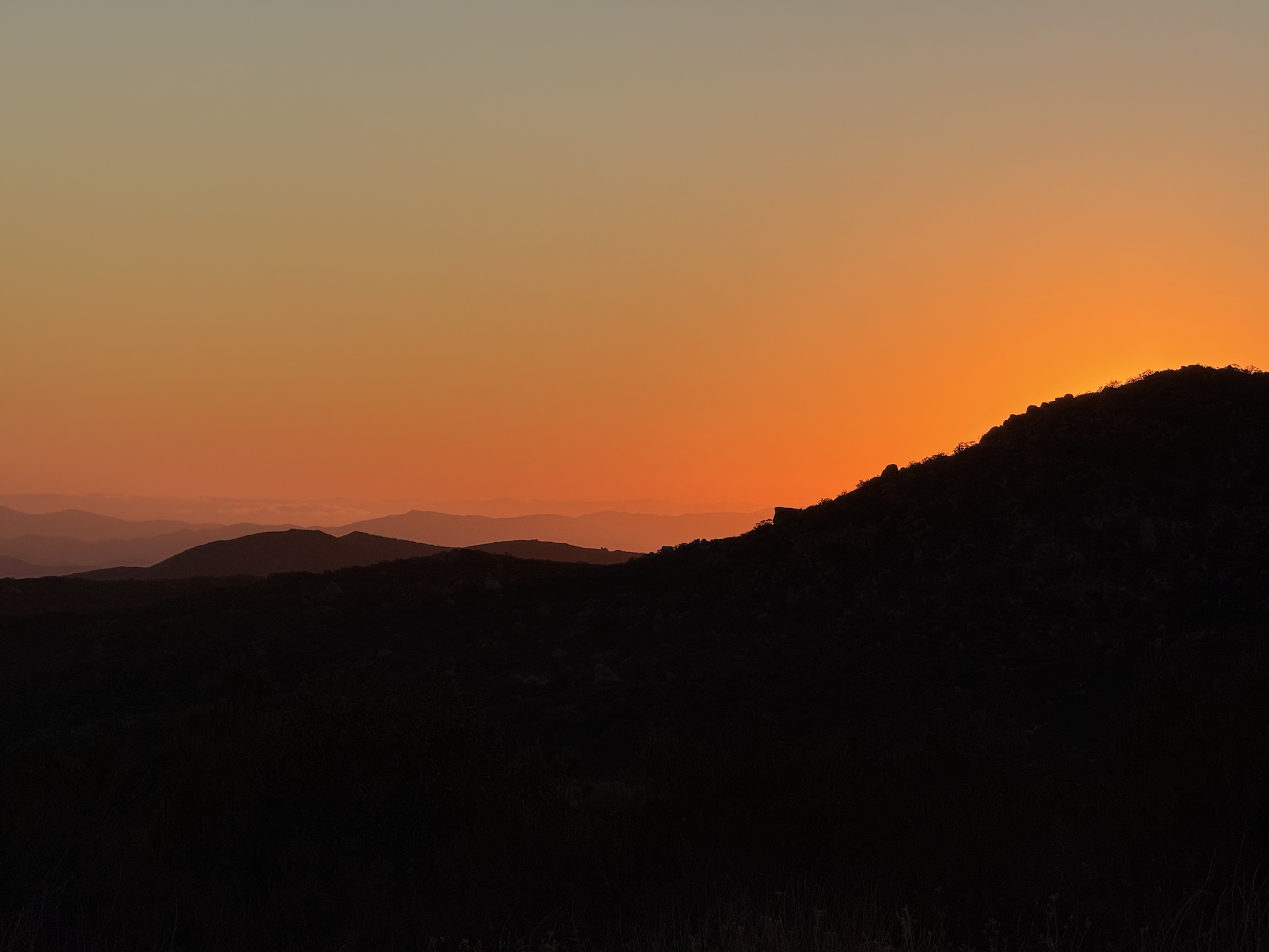 Issue 163: Baja Haha…