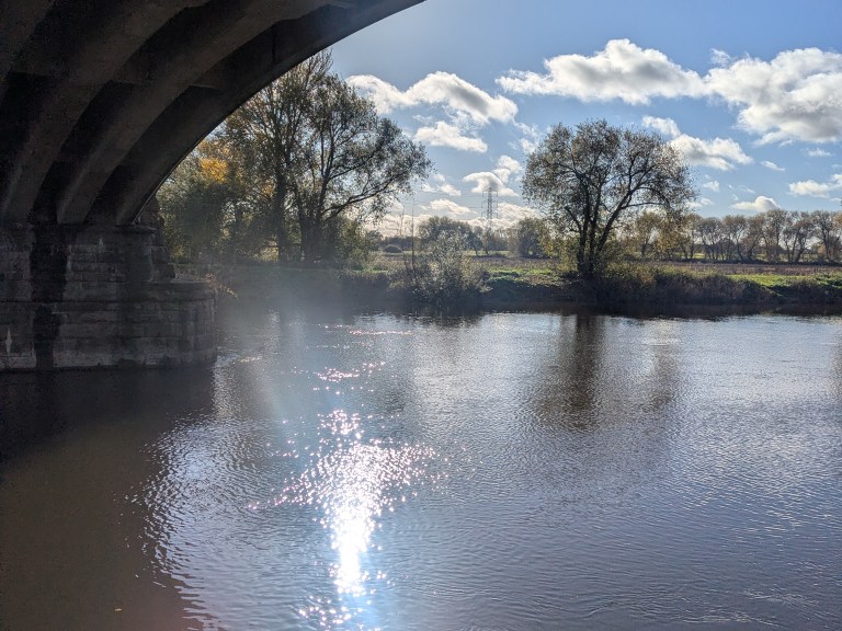 Straight steerer forks for an Evil Sovereign