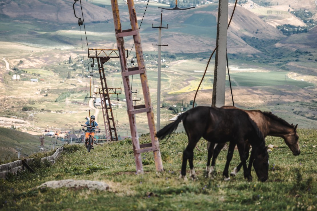 A cyclist riding through a lush green landscape near ski lift structures, with grazing horses in the foreground and rolling hills in the background.