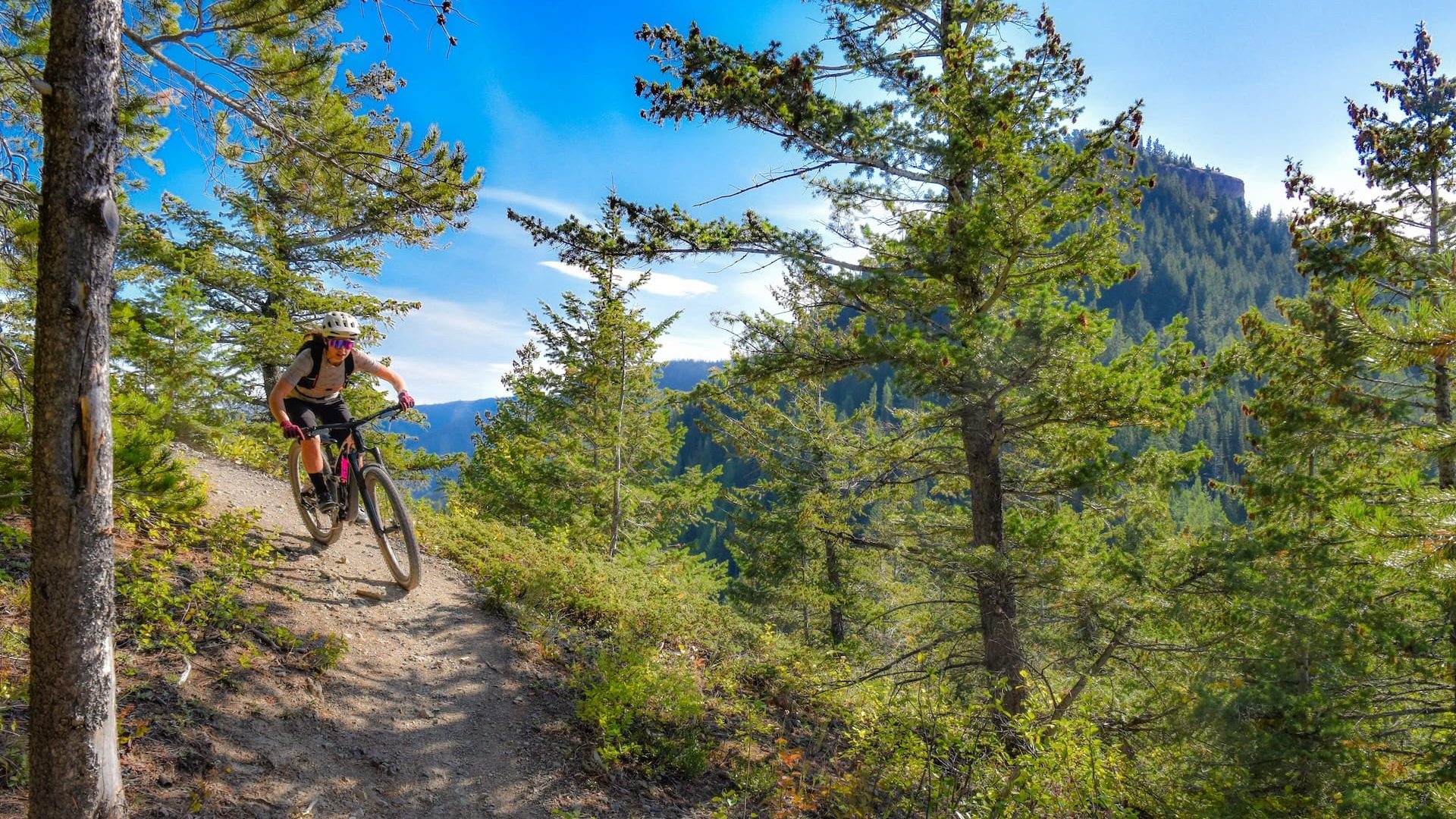 A mountain biker navigating a trail through a forested area, surrounded by trees and mountains under a clear blue sky.