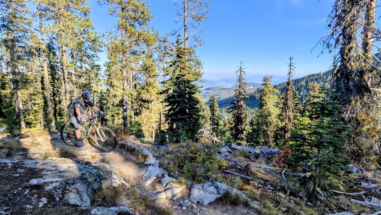 A mountain biker maneuvering through rocky terrain surrounded by tall trees and blue skies in a forested area.