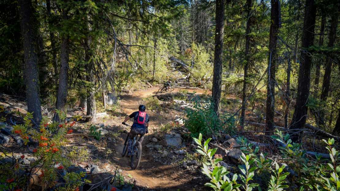 A mountain biker navigating a winding trail in a forested area, with vibrant foliage and sunlight filtering through the trees.