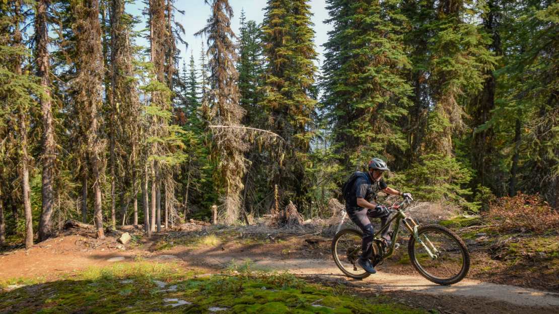A mountain biker navigating a dirt trail surrounded by tall green trees in a forest setting.