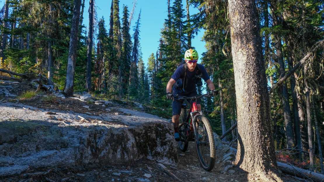 A mountain biker navigating a trail in a dense forest, surrounded by tall trees and rocky terrain.