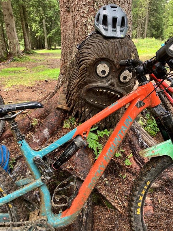 A mountain bike leaning against a tree, next to a wooden carving of a monster with large eyes and an open mouth, wearing a bike helmet.