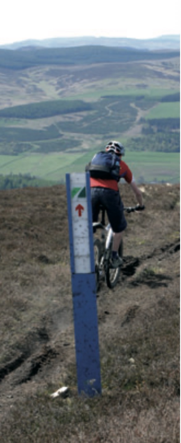A mountain biker riding on a trail alongside a directional sign in a rural landscape.