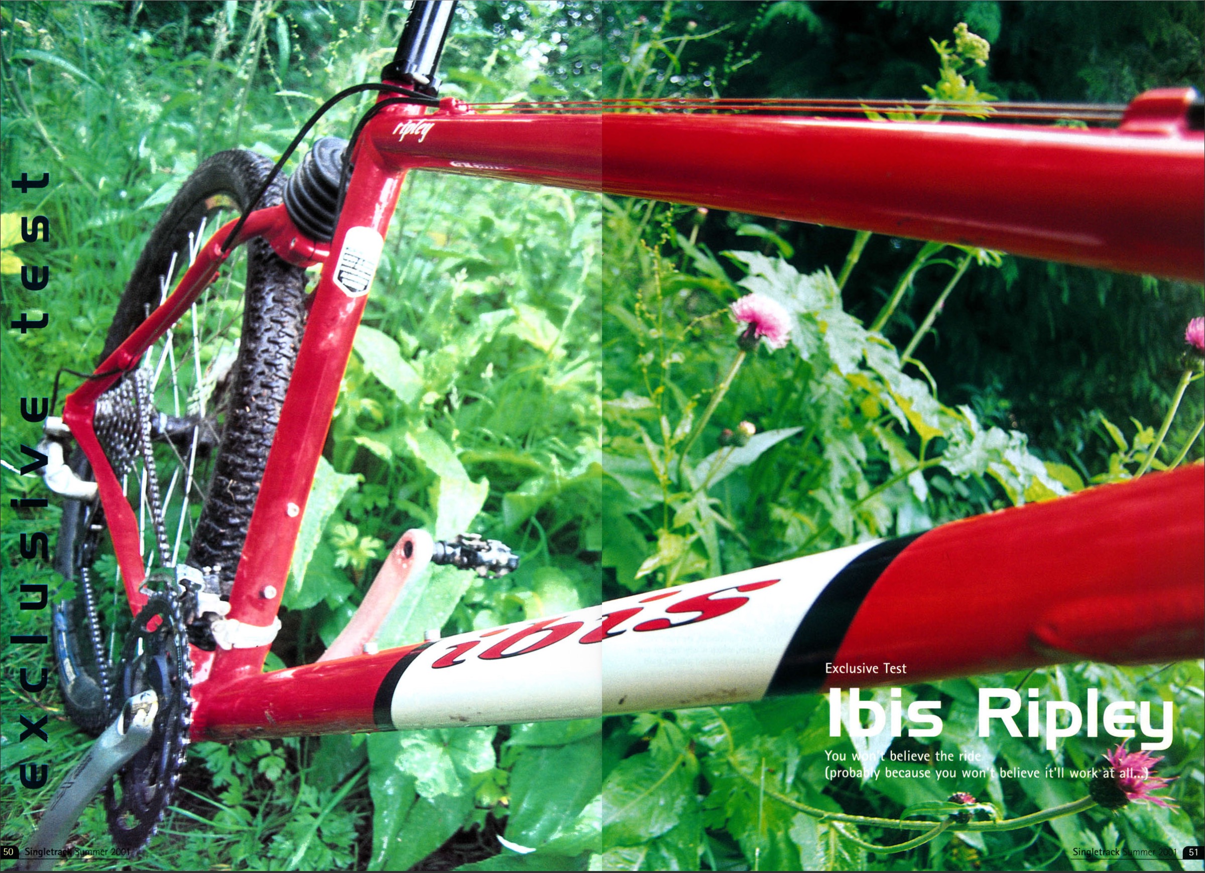 ibis ripley 2001