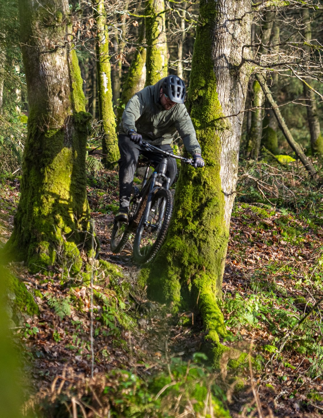A rider descending a steep, mossy woodland trail.