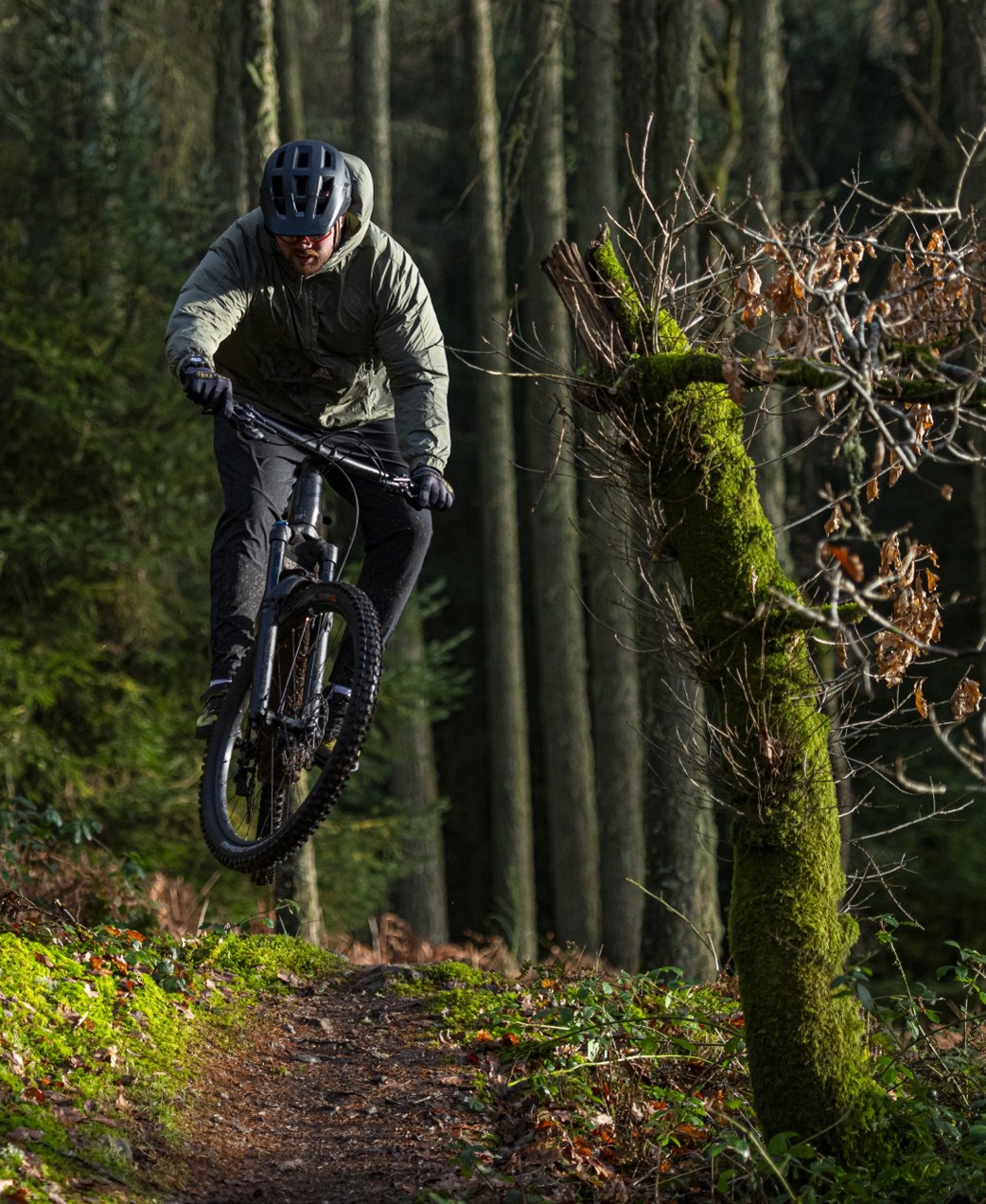 A rider jumping on a woodland trail among tall trees.