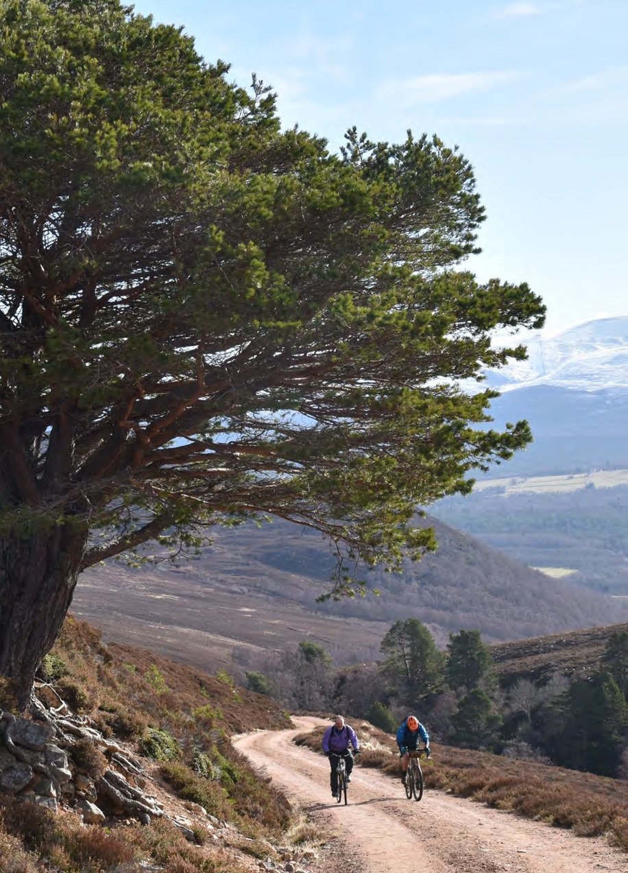 Climbing the Burma Road fire track, Cairngorms behind — Issue 167