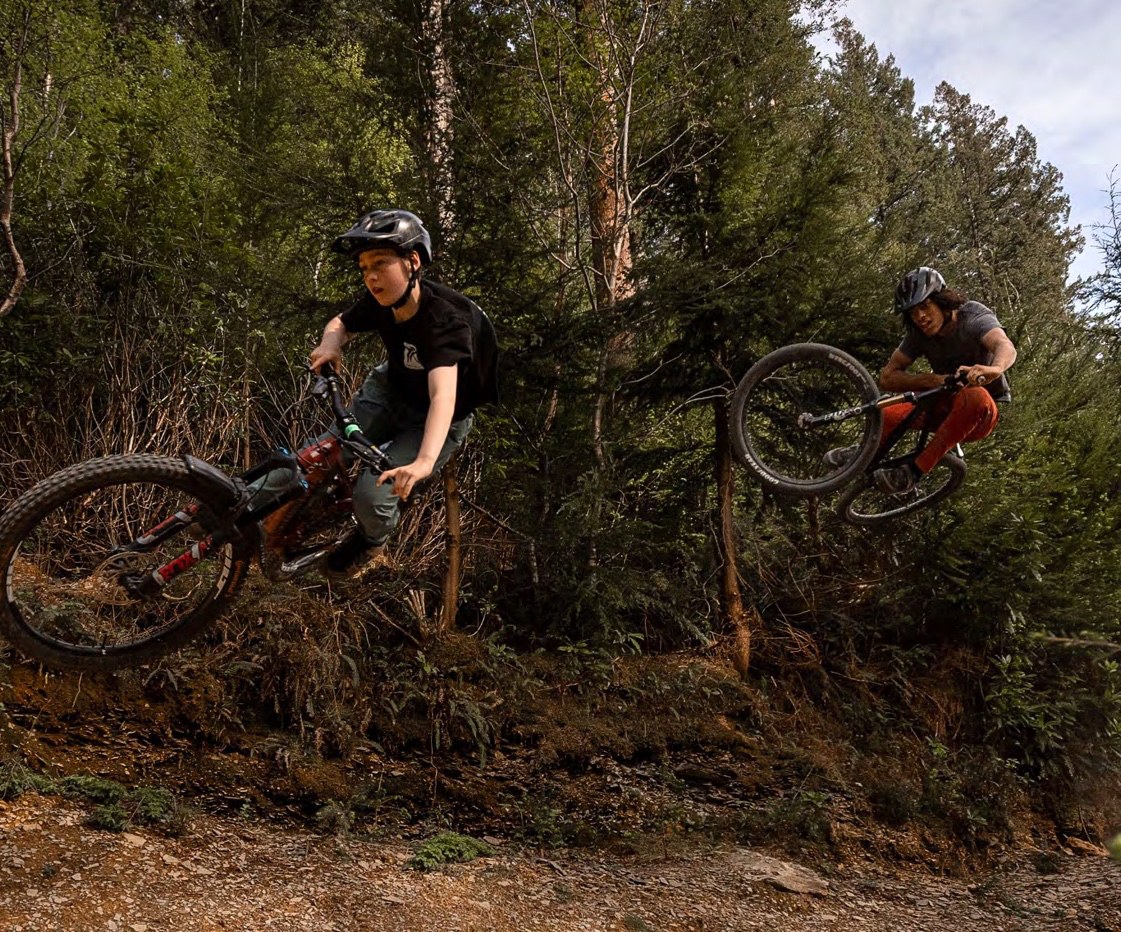 Dyfi Valley singletrack through the forest — Issue 167