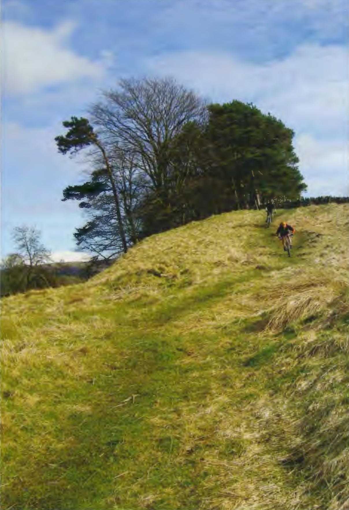 Two mountain bikers riding up a grassy hill surrounded by trees under a clear blue sky.