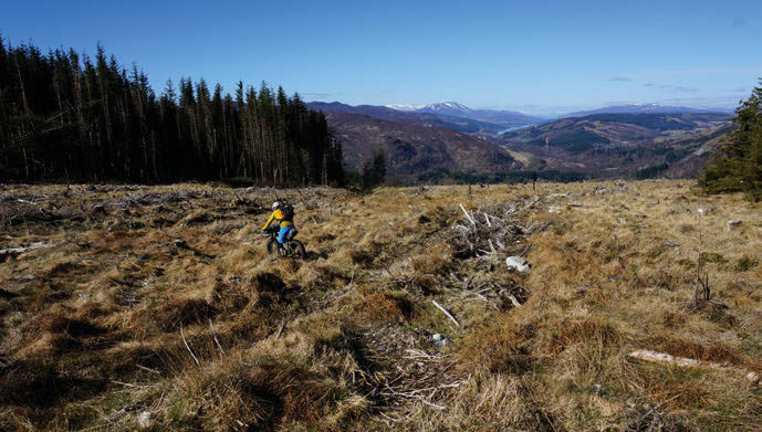 Two riders cut fresh tracks through deep heather towards the forest below, fat tyres finding grip on exposed granite